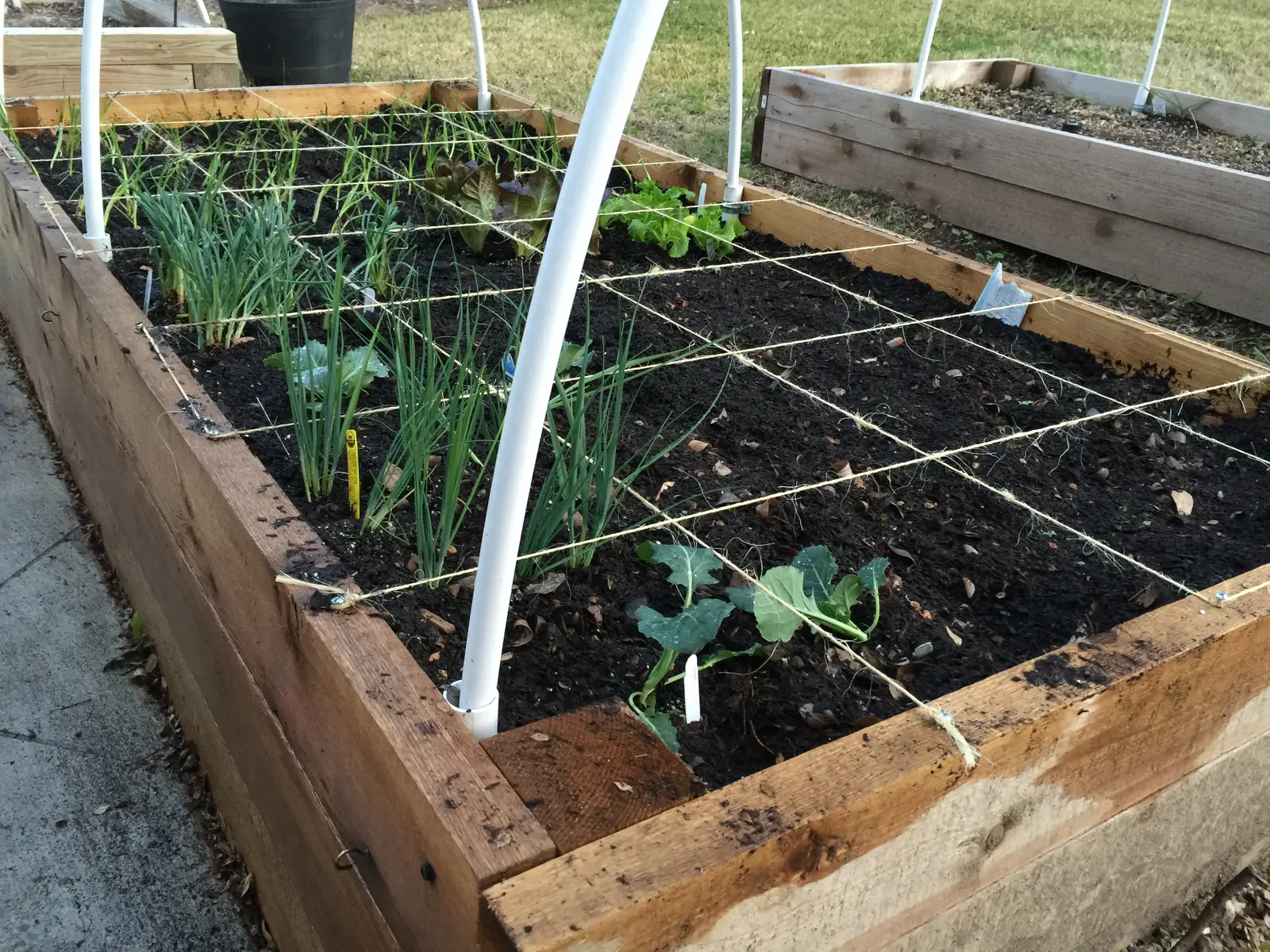 Square Foot Gardening Is Experiencing a Full Revival (By Thomask0, CC BY-SA 4.0)