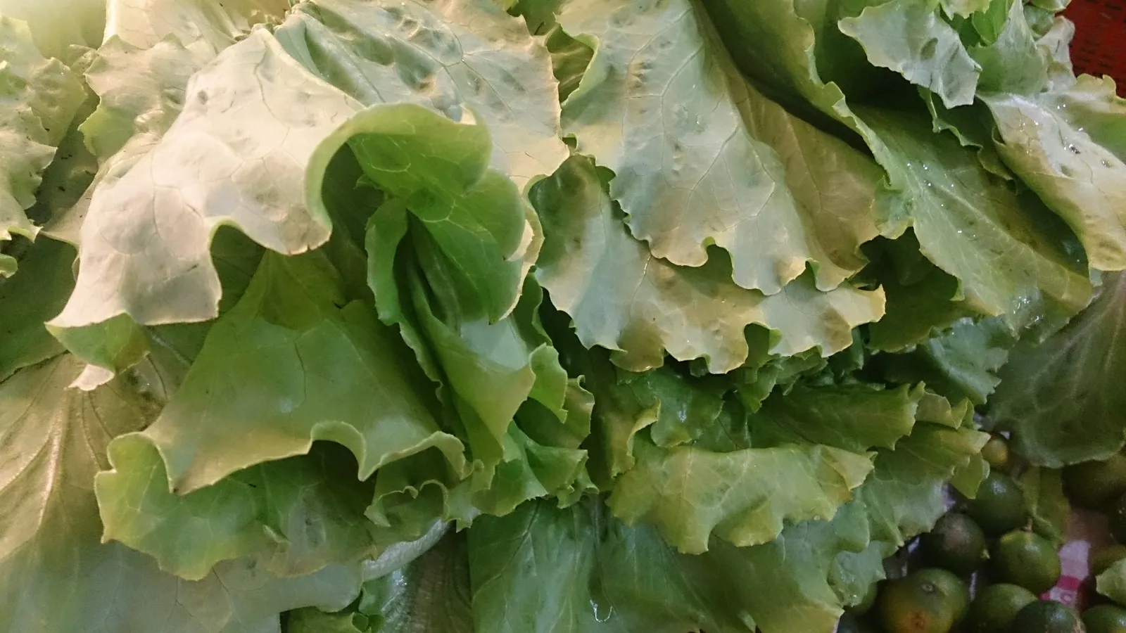 Folate Losses Are Especially Steep (By ProjectManhattan, CC BY-SA 3.0)