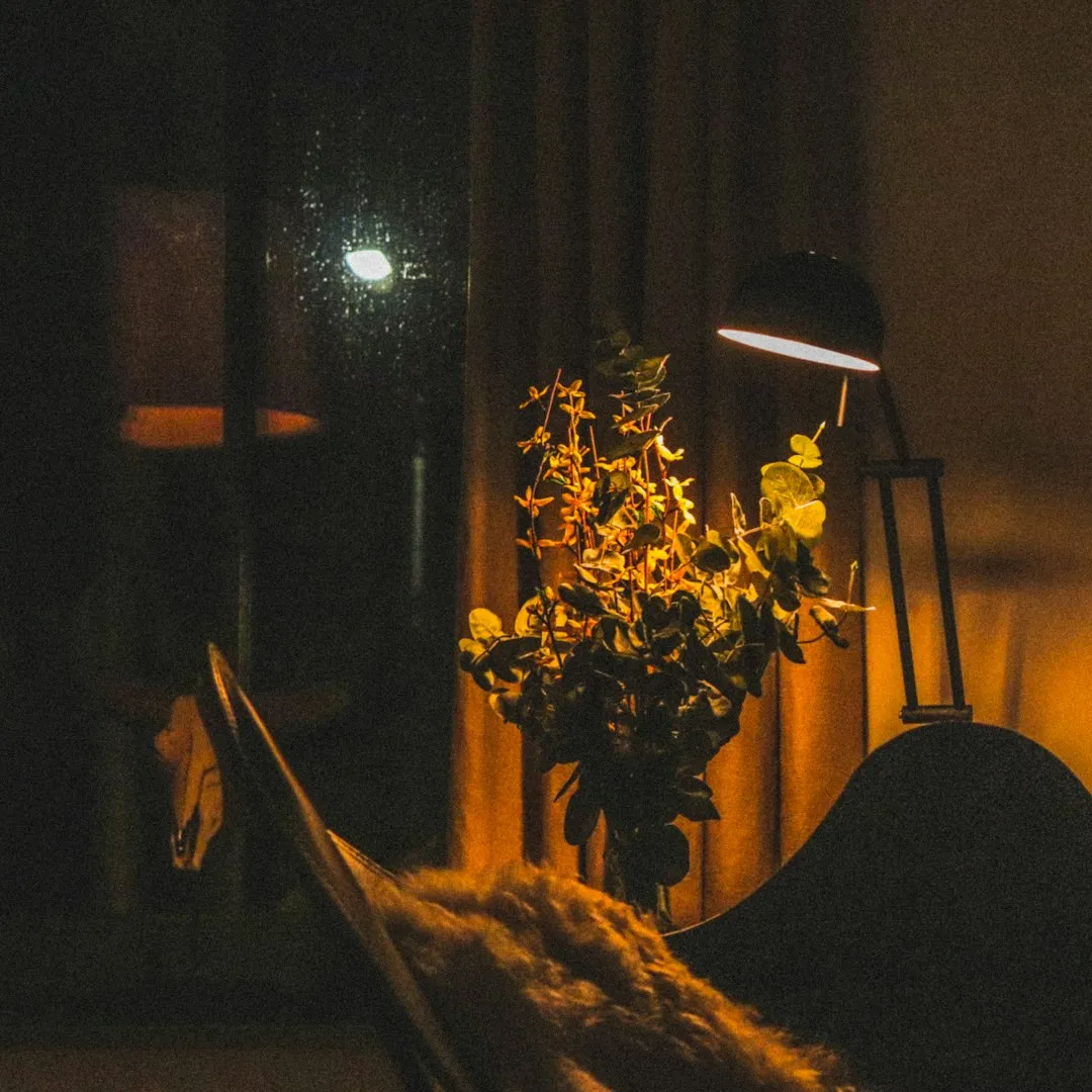 Sunflower (Indoor Varieties): The Radiant Optimist (Image Credits: Unsplash)