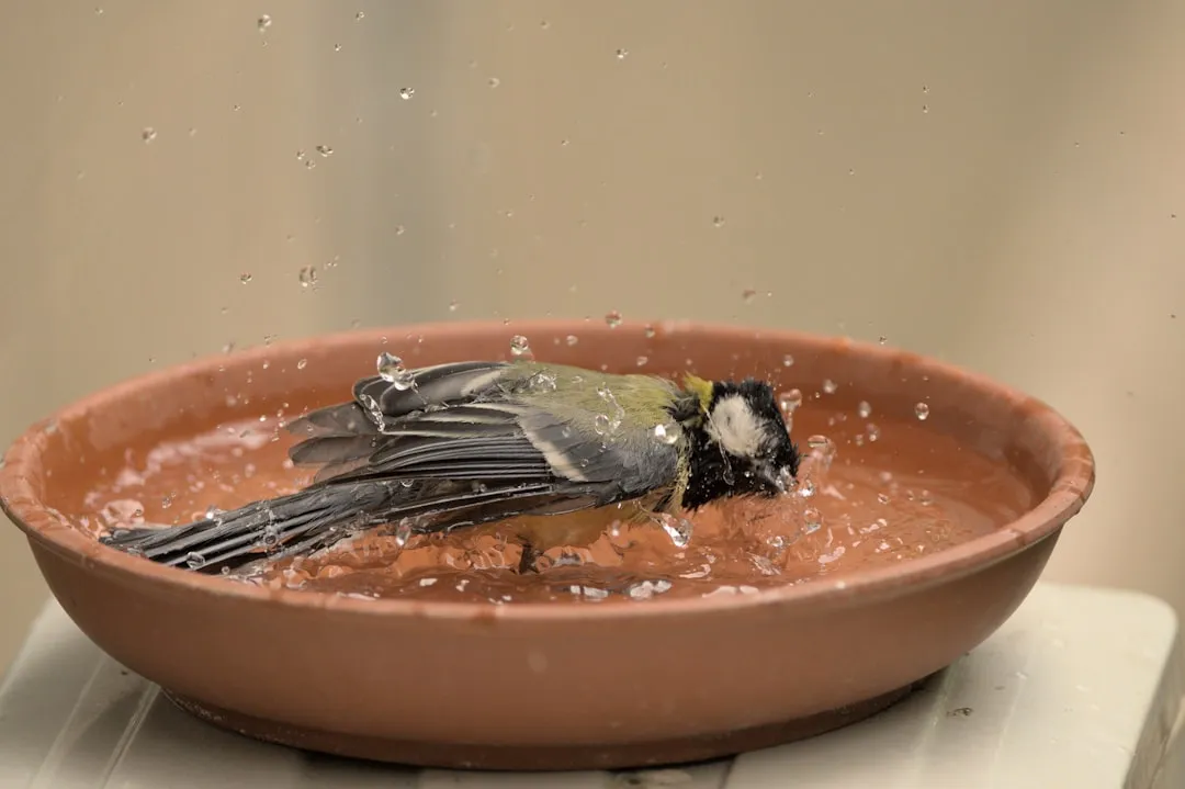4. English Mid-Century Lead Bird Baths (Image Credits: Unsplash)