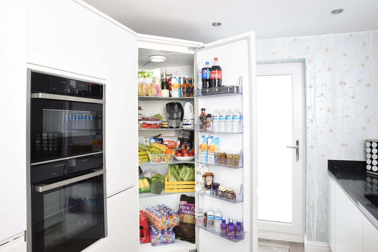 The Correct Order: A Refrigerator Hierarchy (Image Credits: Pixabay)