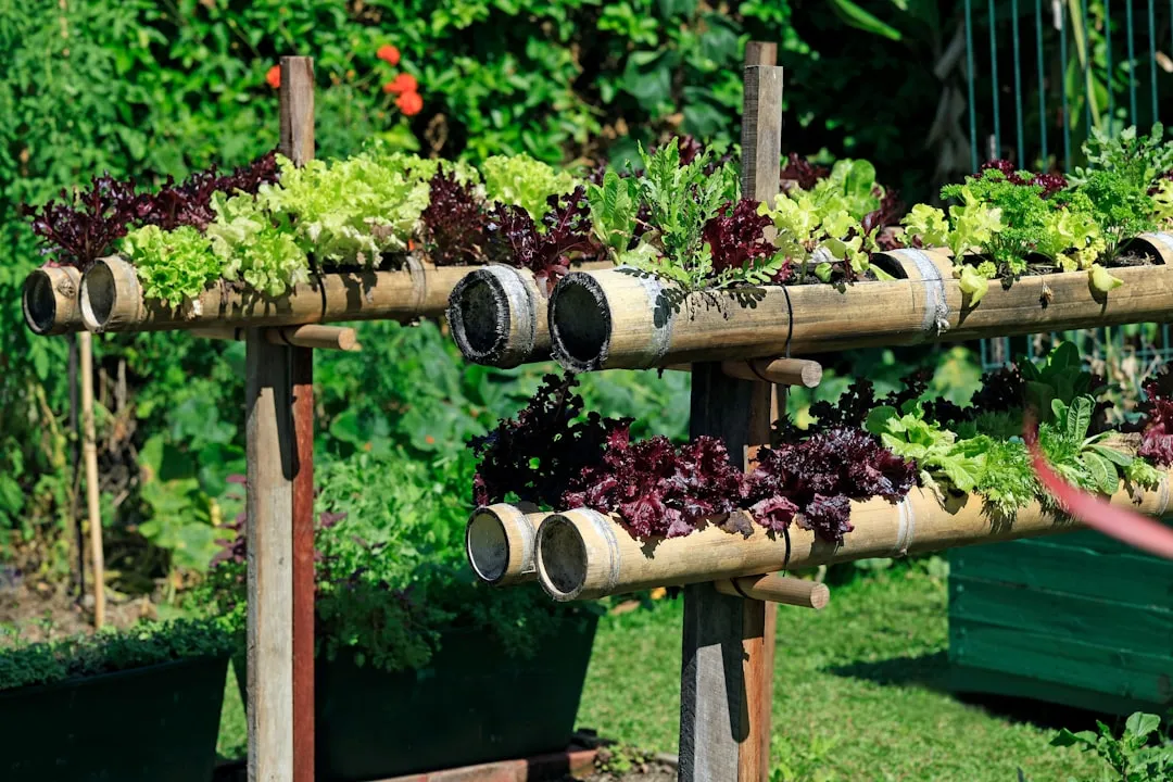 The Numbers Behind the Herb Garden Revival (Image Credits: Unsplash)