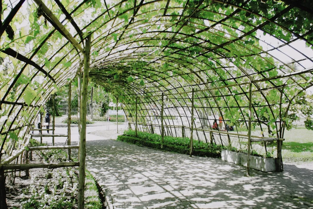 Shade Can Actually Save Your Harvest (Image Credits: Unsplash)