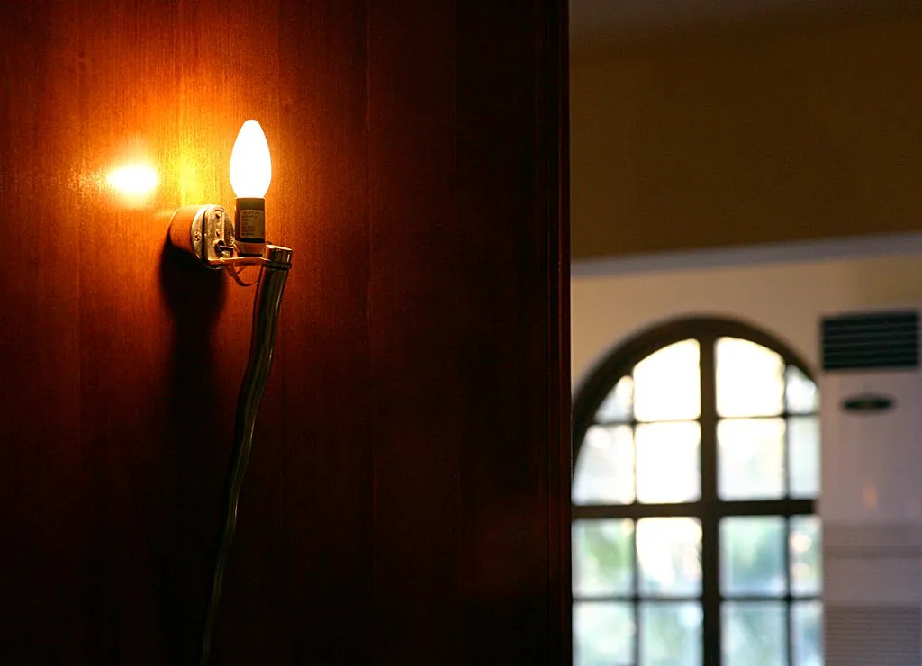How Artificial Light Disrupts Everything (Leonid Mamchenkov, Flickr, CC BY 2.0)