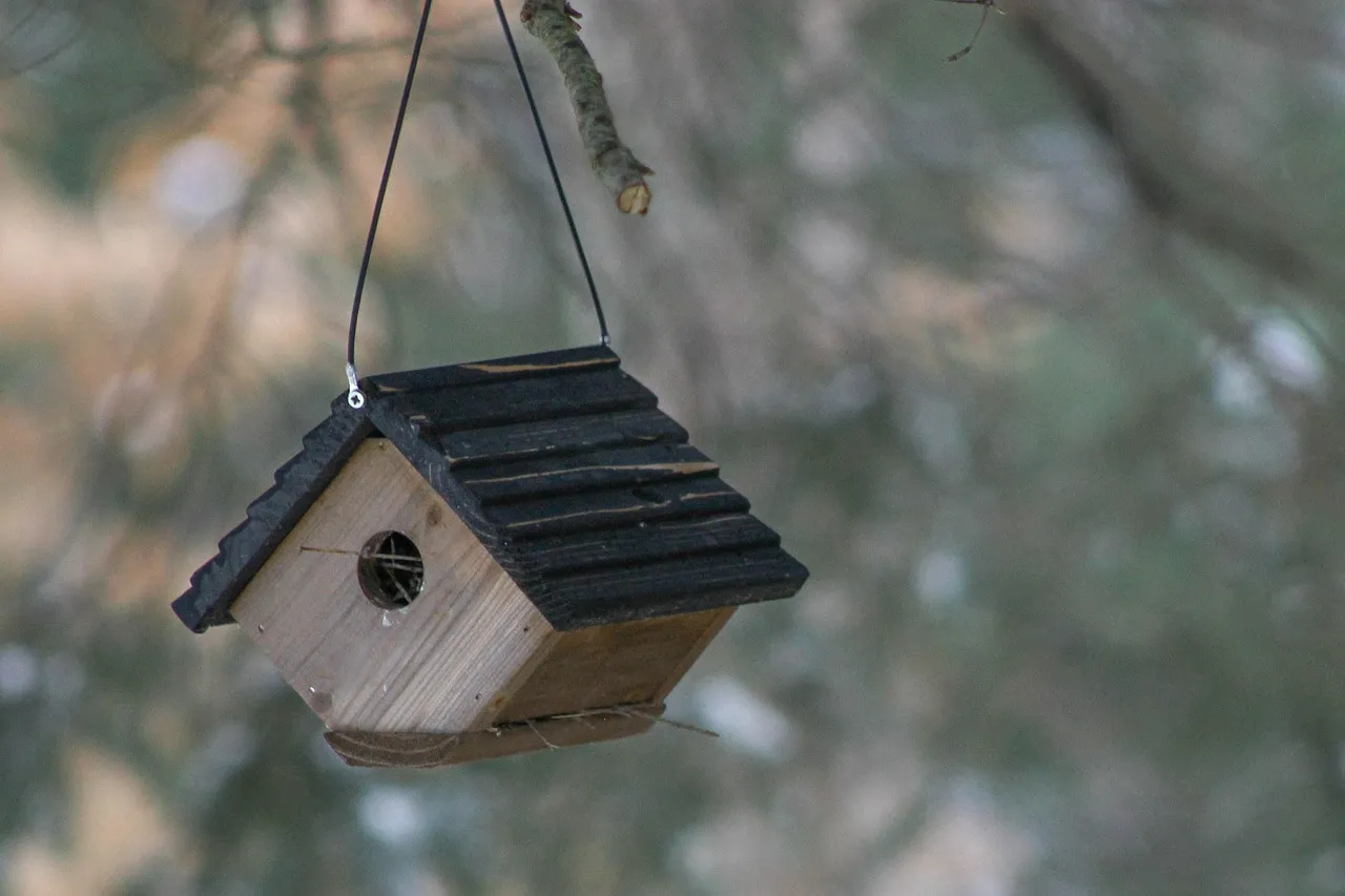 Create Cover and Shelter for Year-Round Use (Image Credits: Pixabay)