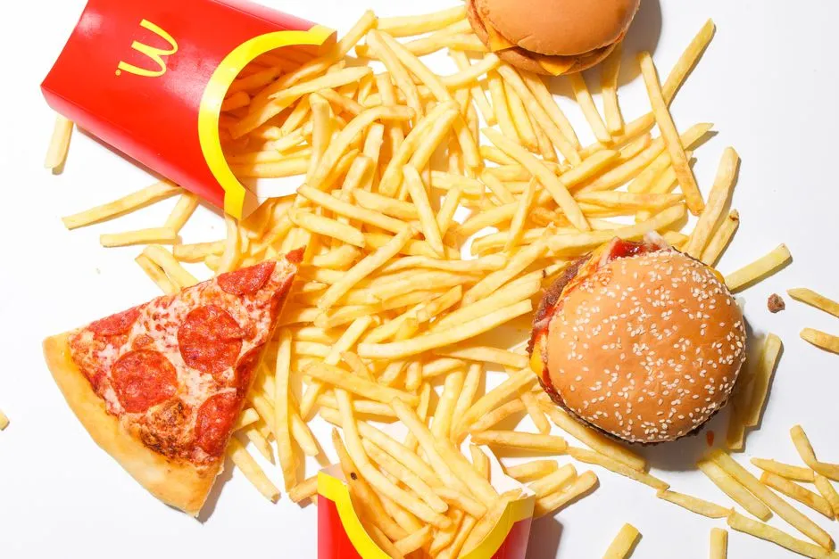 The Role of Saturated Fat in Processed Meats and Fried Foods (Image Credits: Pexels)