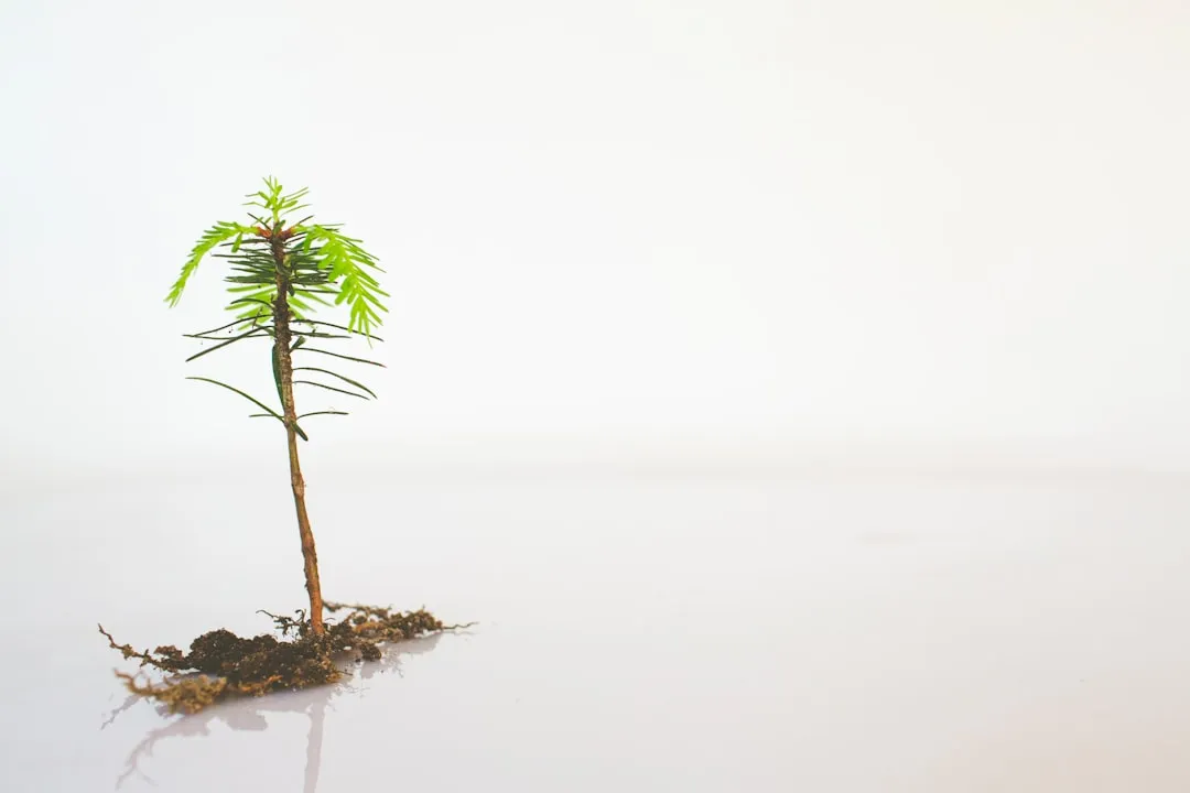 When Staking Is Actually Necessary (Image Credits: Unsplash)