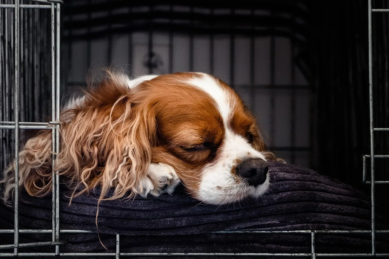 Finding the Right Spot: A Practical Takeaway (Image Credits: Pixabay)