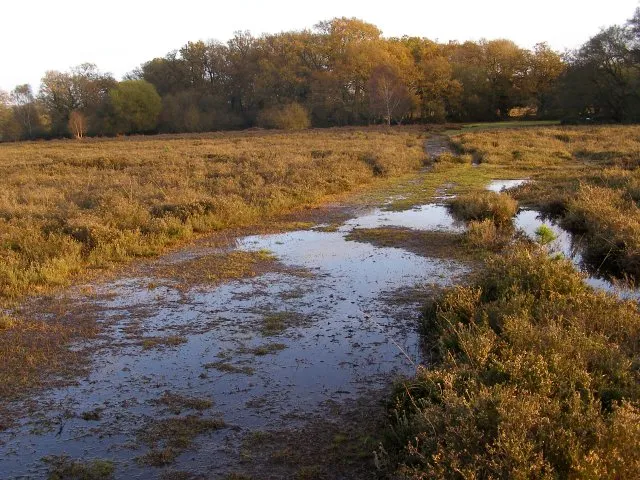 Poor Drainage: A Soggy Foundation (From geograph.org.uk, CC BY-SA 2.0)