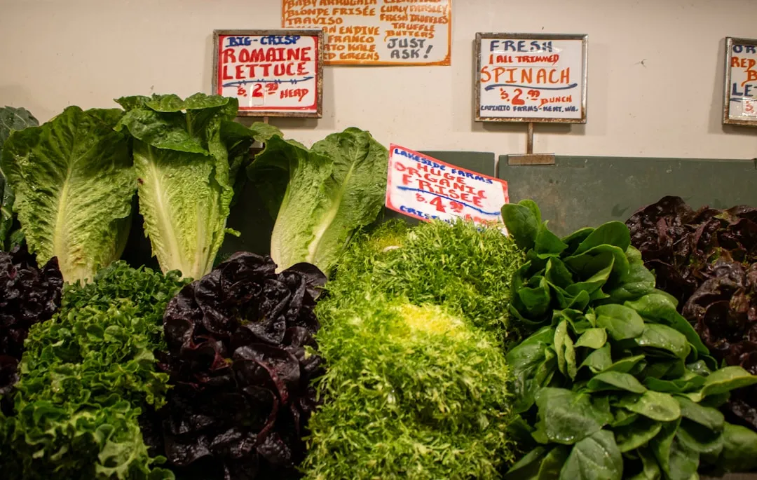 Which Greens Respond Best (Image Credits: Unsplash)