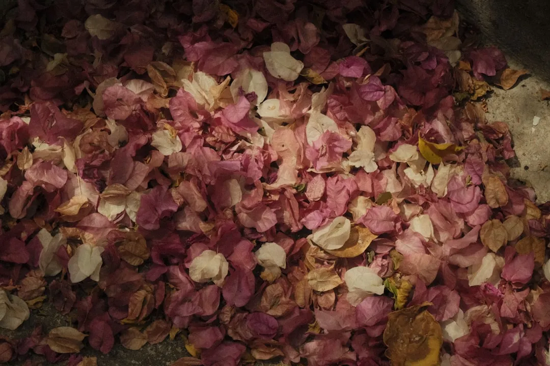 Mulch as the Quiet Partner to Any Schedule (Image Credits: Unsplash)
