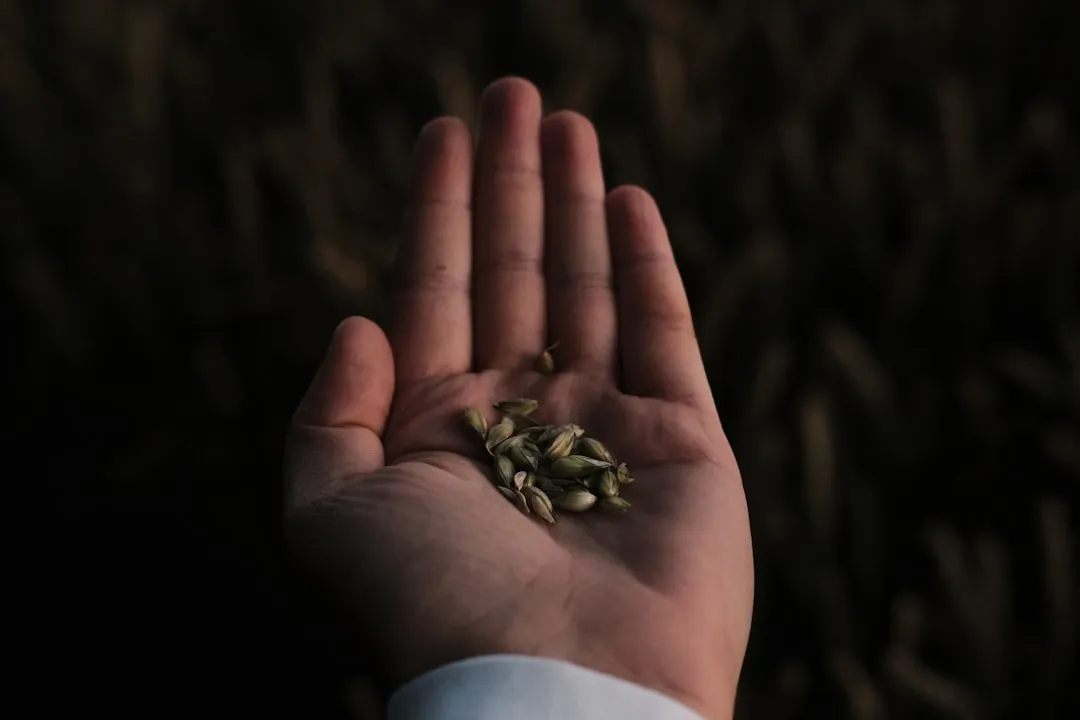 Trampling and Disturbing the Soil Around Weeds (Image Credits: Unsplash)