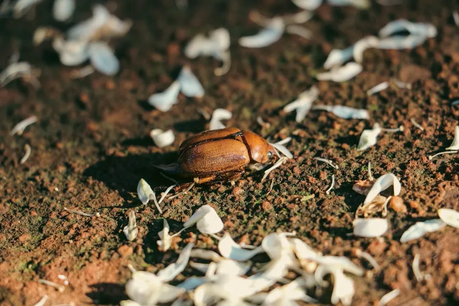 Which Pests Does It Target? (Image Credits: Pexels)