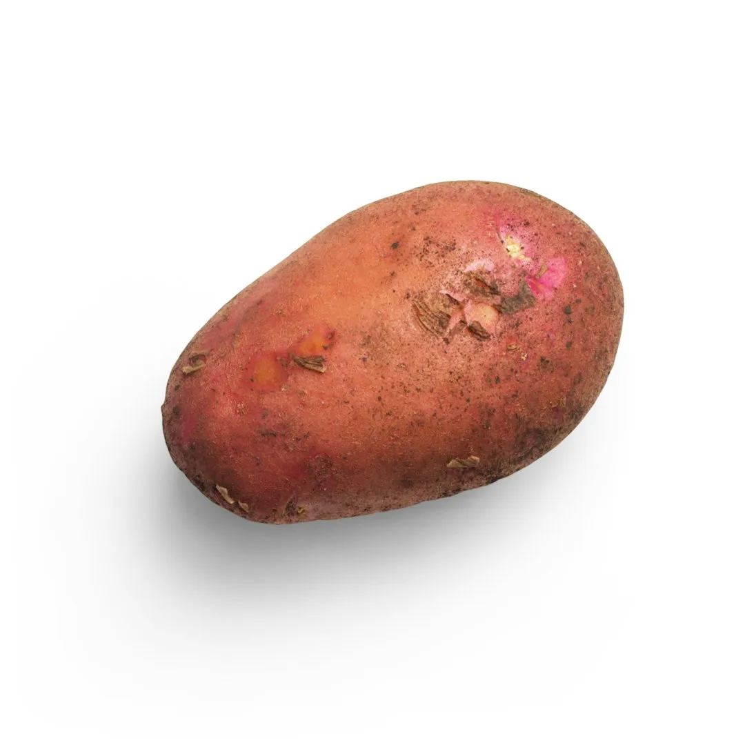 3. Sweet Potato: The Climate Champion That Keeps Producing (Image Credits: Unsplash)