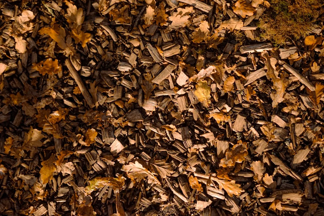 The Difference Between the Dye and the Wood Underneath (Image Credits: Unsplash)