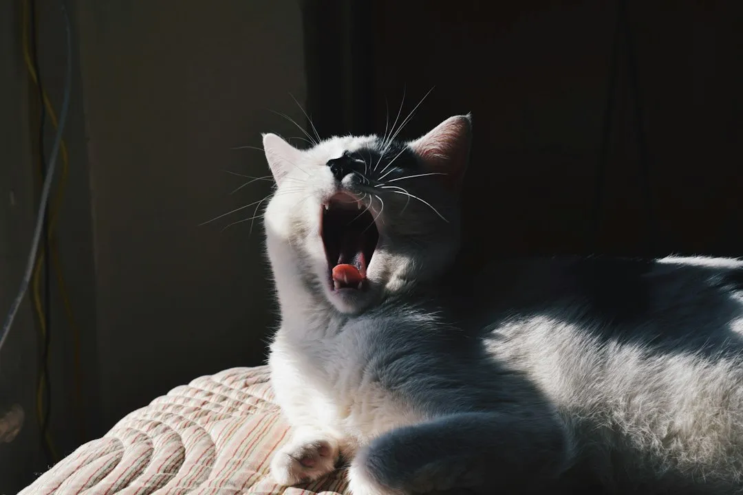 3. What Owners Perceive as the Cause (Image Credits: Unsplash)