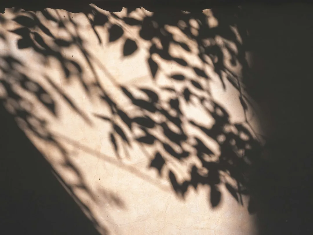 Hard Light Sources Causing Harsh Shadows (Image Credits: Unsplash)