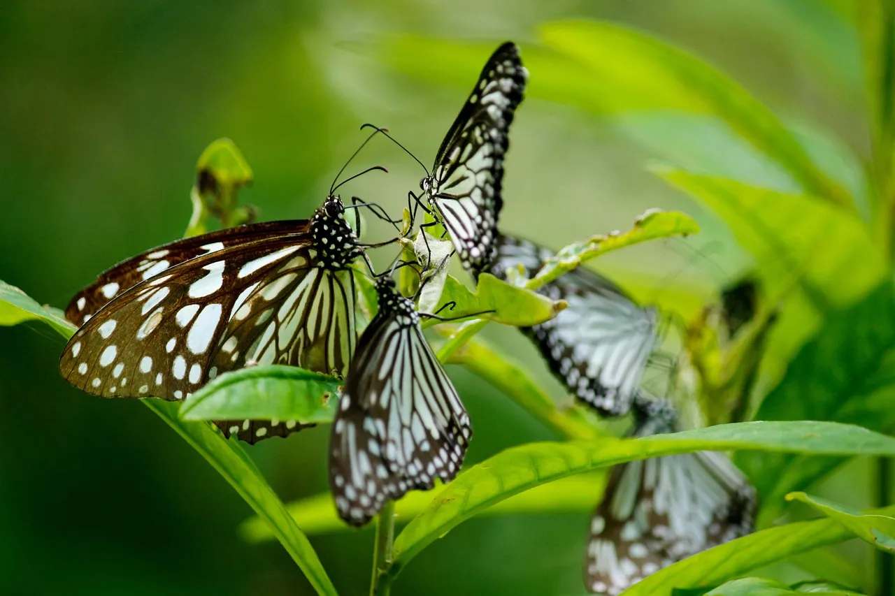 What You Can Actually Do About It (Image Credits: Pixabay)