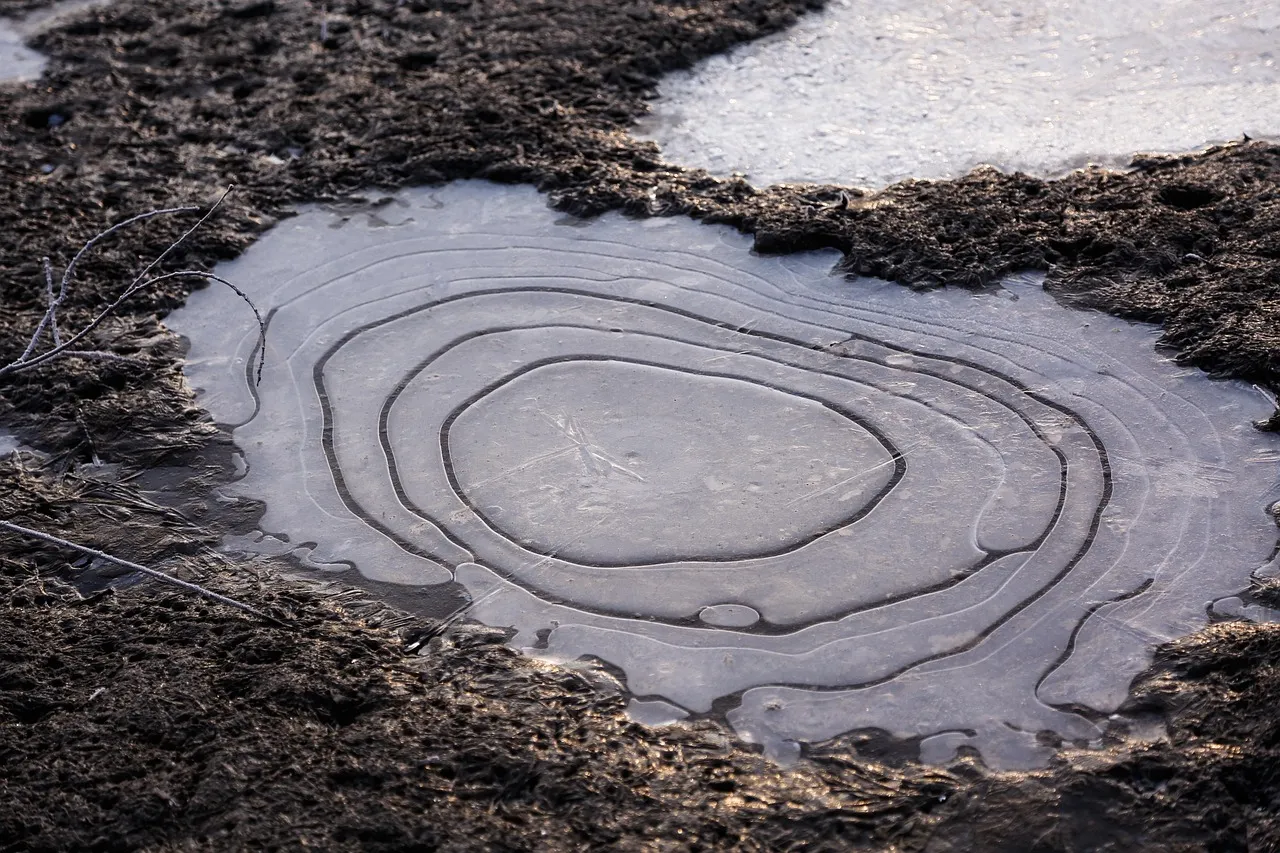 What Not to Do When Puddling Appears (Image Credits: Pixabay)