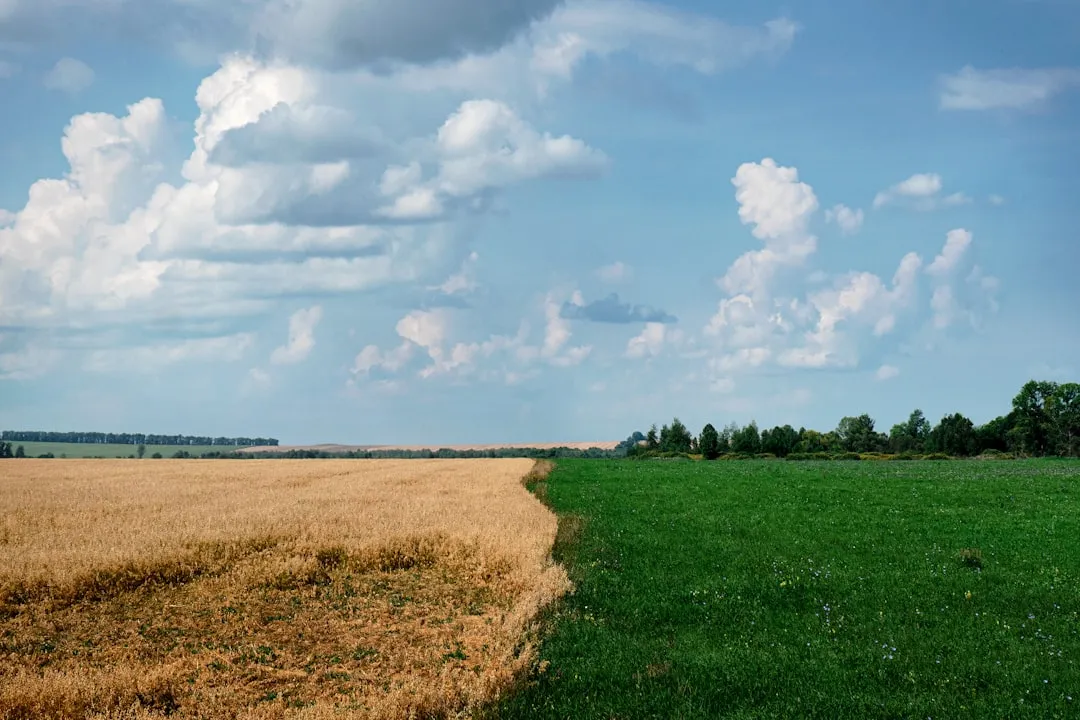 Two Thirds of US Locations Are Now in Warmer Zones (Image Credits: Unsplash)