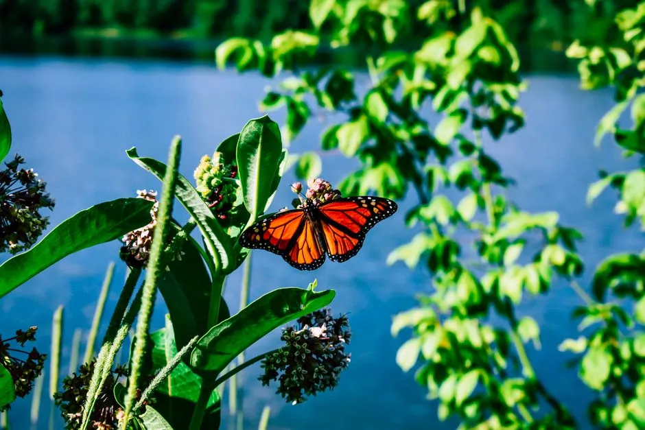 The Legal Picture Is Only Just Beginning to Catch Up (Image Credits: Pexels)