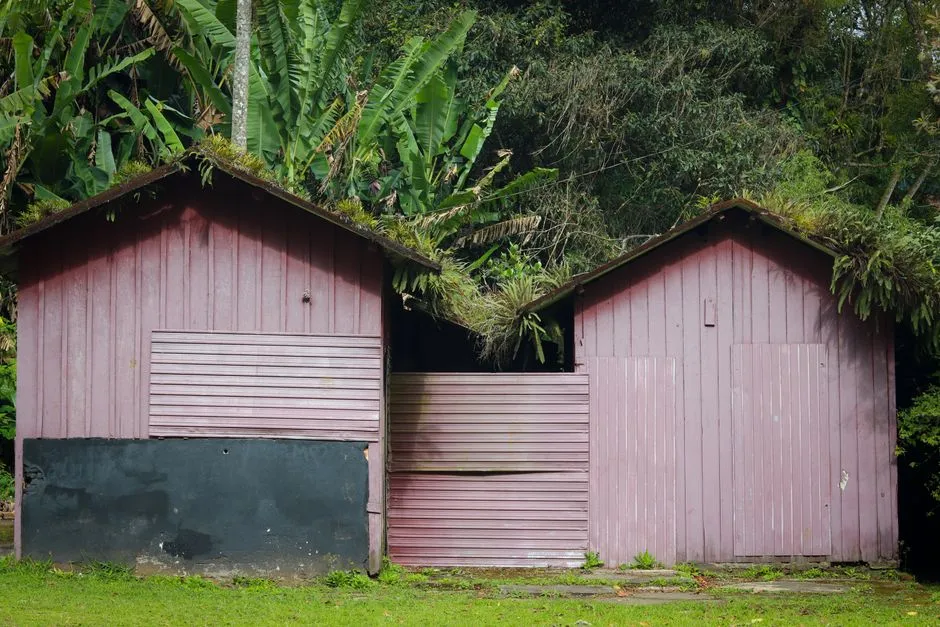 The Rise of the Multipurpose Shed (Image Credits: Pexels)