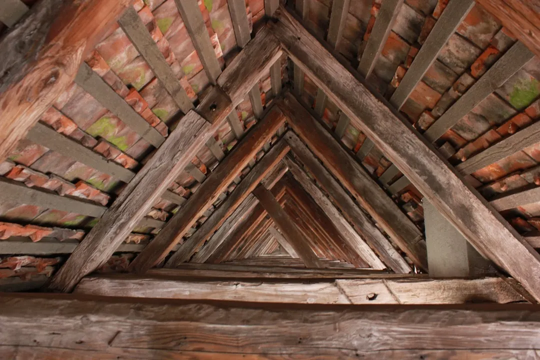 What the Roof Is Doing Up There (Image Credits: Unsplash)