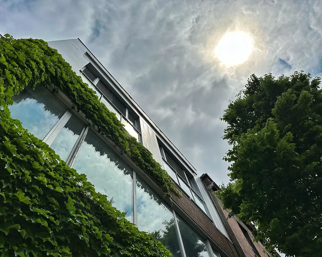 What Urban Heat Islands Actually Are (Image Credits: Unsplash)