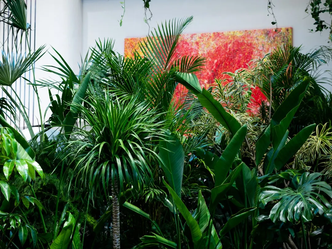 Myth 2: Houseplants Purify the Air in Your Home (Image Credits: Unsplash)