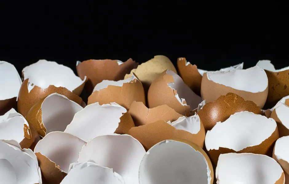 Eggshells Improve Compost Structure, Not Just Chemistry (Image Credits: Pexels)