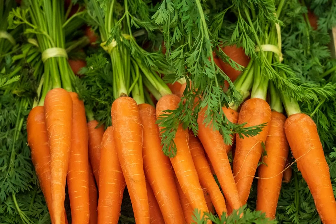 Root Crops and Leafy Greens Face a Greater Risk (Image Credits: Unsplash)