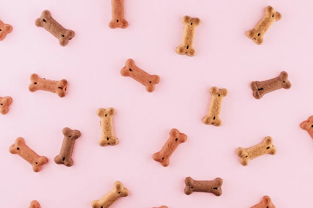 The "Novelty Effect" - When Familiarity Breeds Boredom (Image Credits: Unsplash)