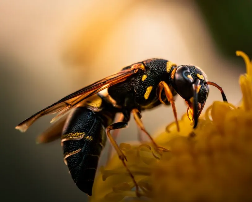Active vs. Passive Pollination: Two Strategies Within the Same System (Image Credits: Pexels)