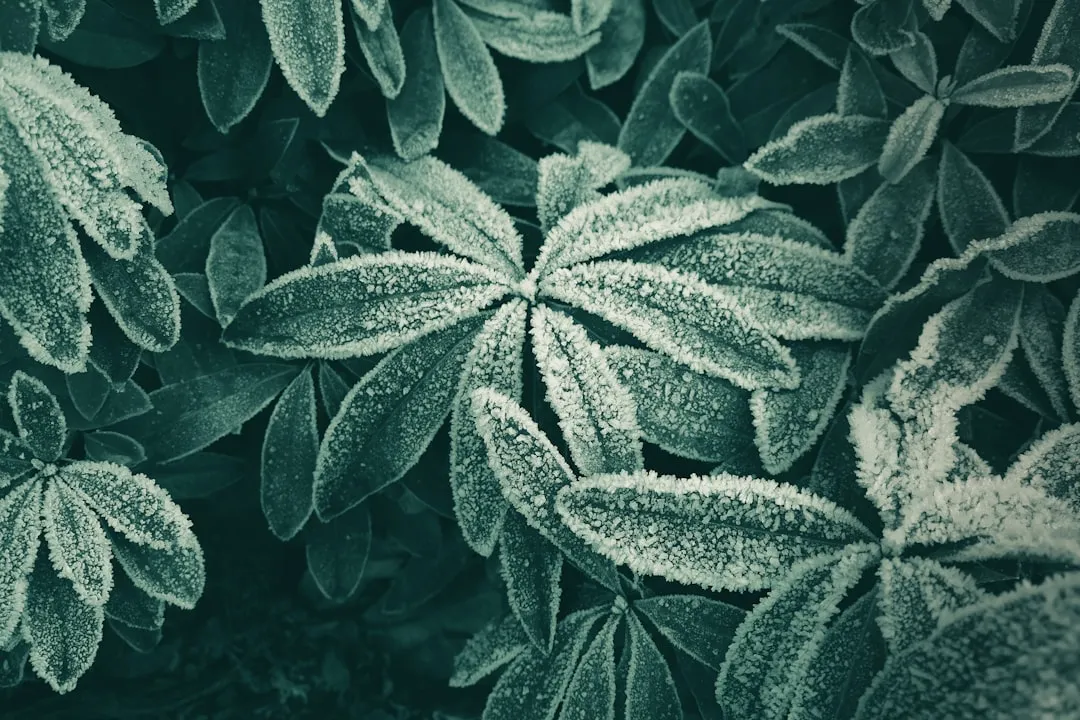 Zone Maps Have Real Limits Worth Understanding (Image Credits: Unsplash)