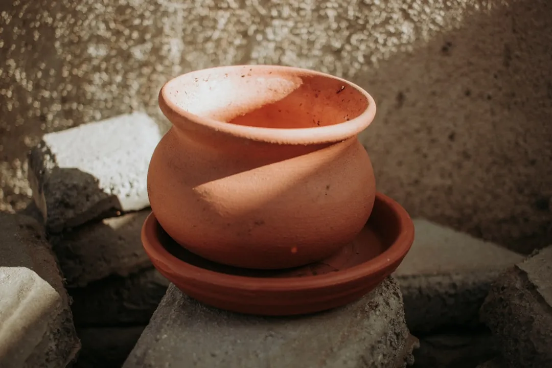 Your Pot Is Cooking the Roots (Image Credits: Unsplash)