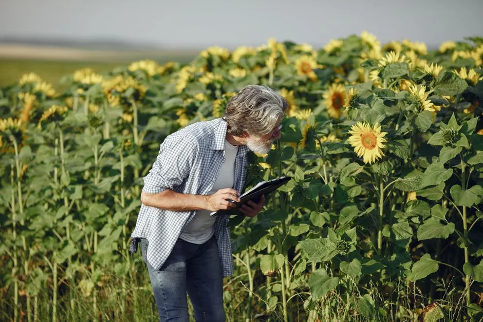 A Landmark First for Plant Biology Research (Image Credits: Pexels)