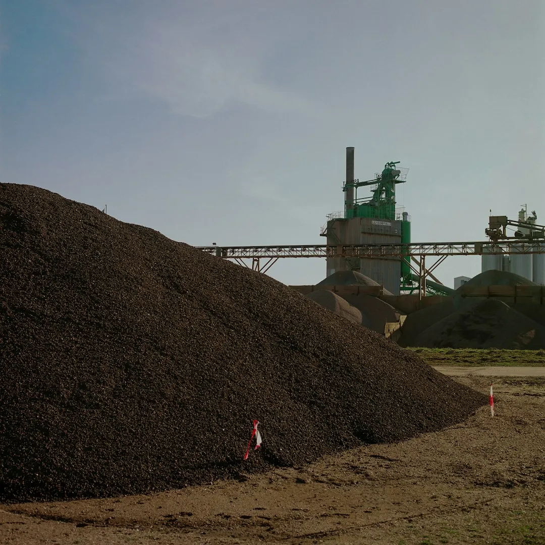 Where Not to Apply Wood Chips (Image Credits: Unsplash)