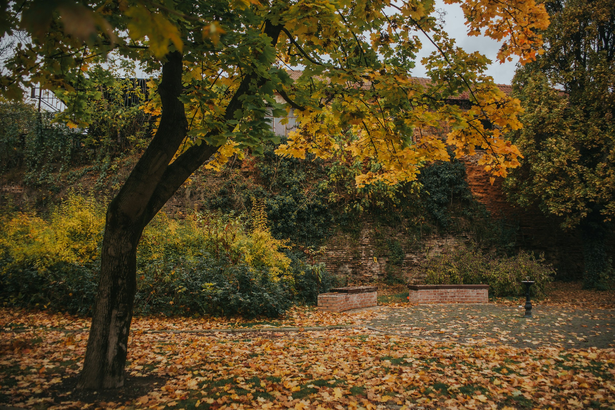 Why You Should Stop Cleaning Up Your Garden Beds in the Late Autumn