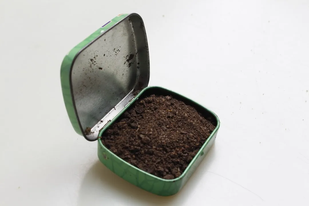 The Sunken Pot Method: The Best of Both Worlds (Image Credits: Unsplash)