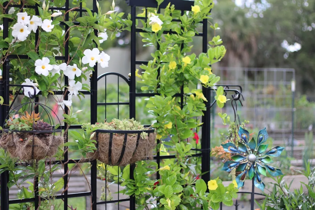 The Best Ways to Repair and Reinforce a Sagging Garden Trellis
