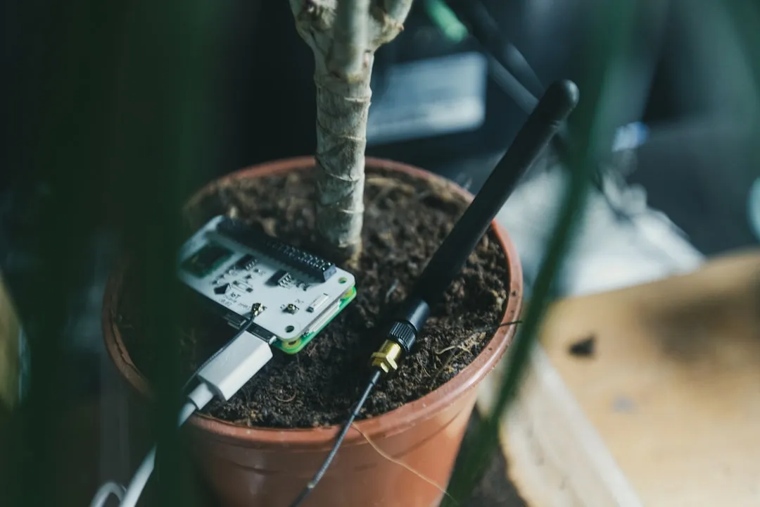 Use Moisture Meters and Smart Sensors as an Early Alarm System (Image Credits: Unsplash)