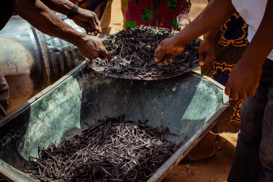 Biochar: The High-Tech Route for the Peel (Image Credits: Pexels)