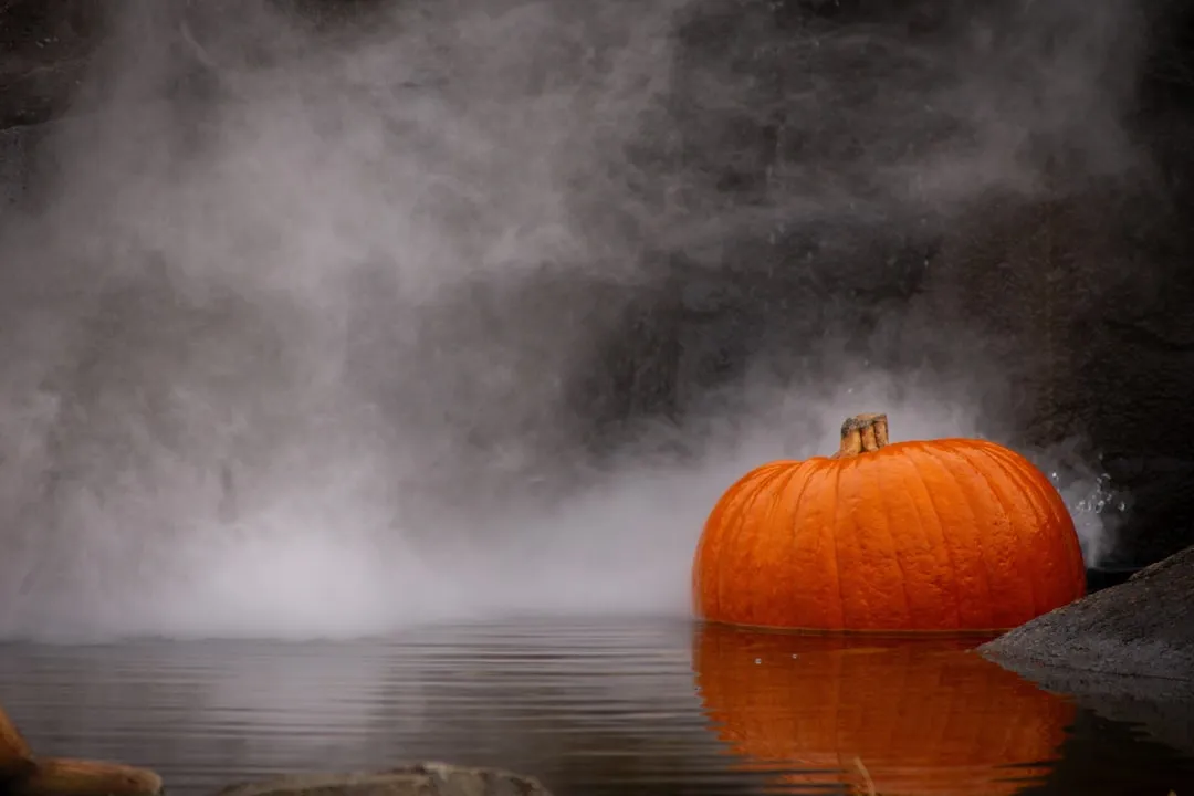 Rehydrate a Wilting Pumpkin (Image Credits: Unsplash)