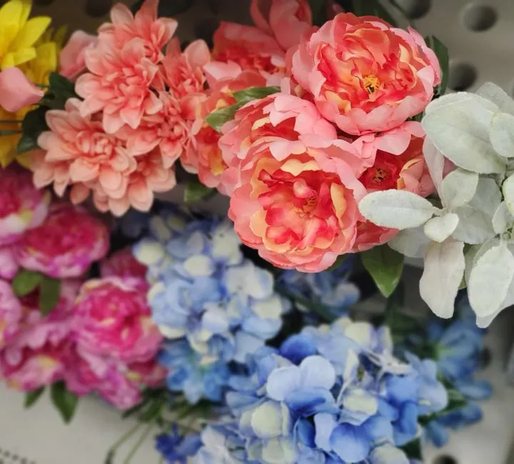 What This Means for Growers and Gardeners (Image Credits: Pexels)