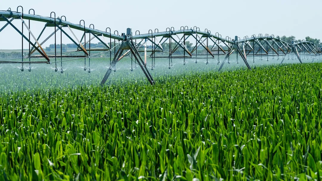 Pesticides Are Getting Into Drinking Water and Groundwater (Image Credits: Unsplash)