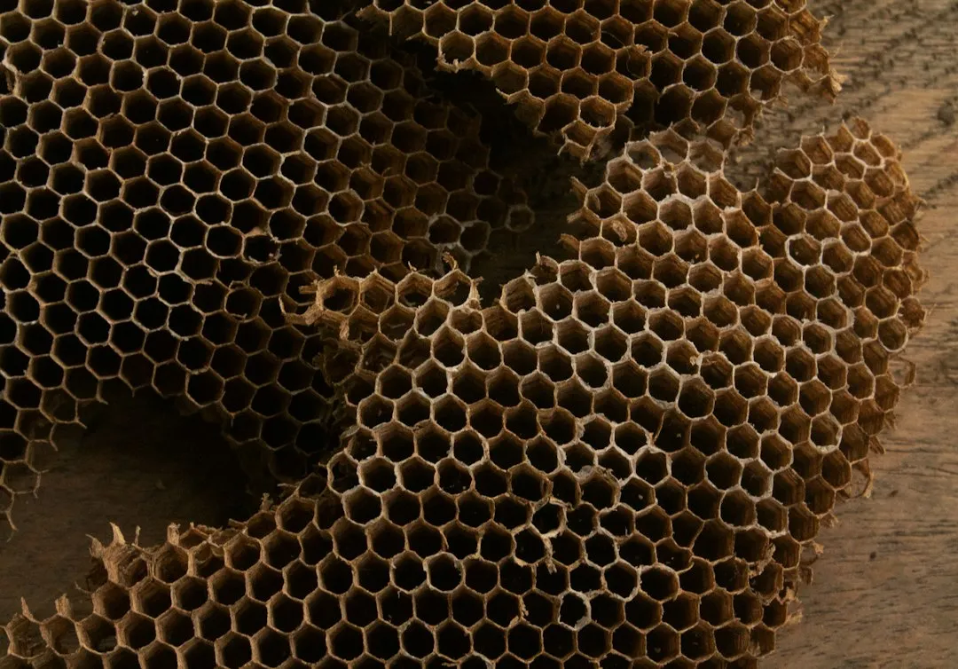 Hollow Stems Shelter Native Bees Through the Cold (Image Credits: Unsplash)