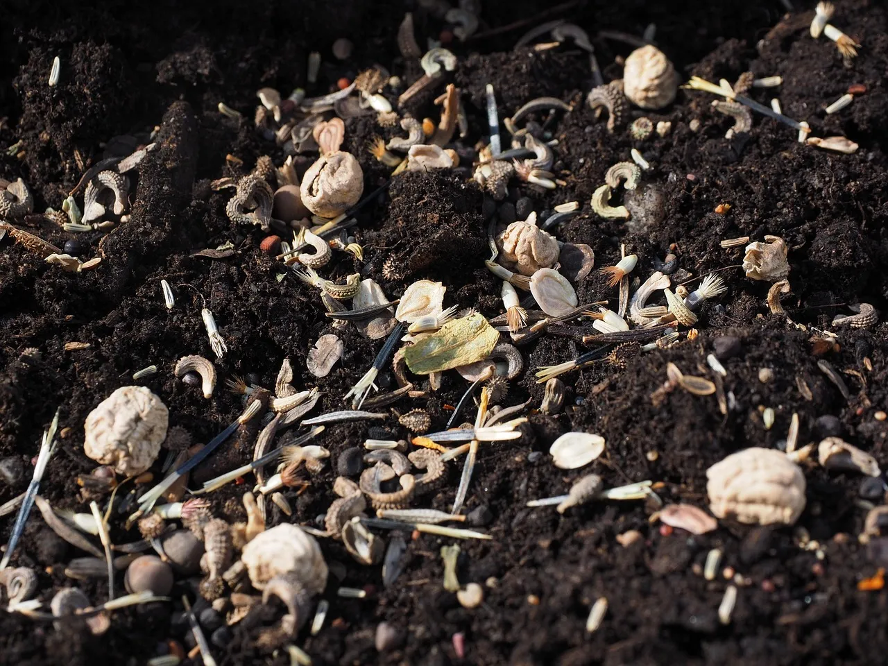 Choosing the Right Soil Mix for the Cells (Image Credits: Pixabay)