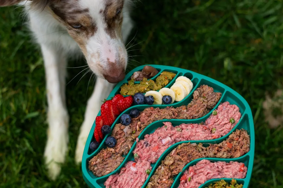 Enrichment Feeding: Turning Meals into Brain Work (Image Credits: Unsplash)
