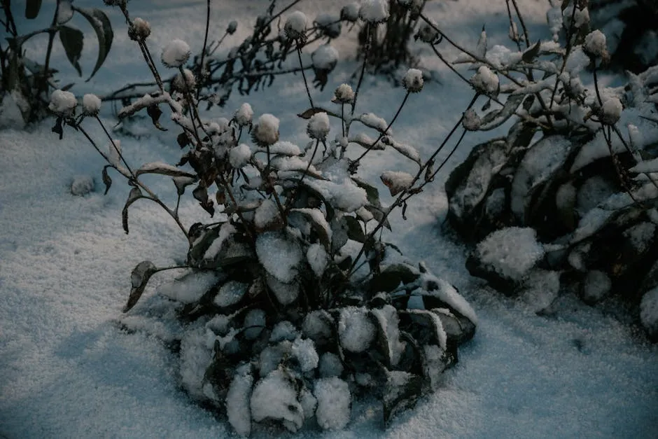 How Perennial Stems Can Trap Their Own Snow Cover (Image Credits: Pexels)