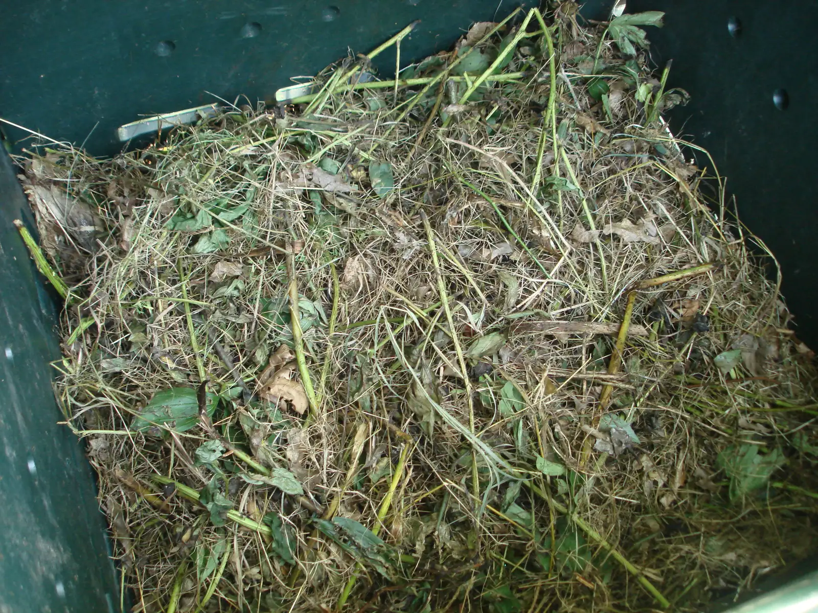 4. A Smelly Pile Means Something Has Gone Wrong (By Ksd5, CC0)